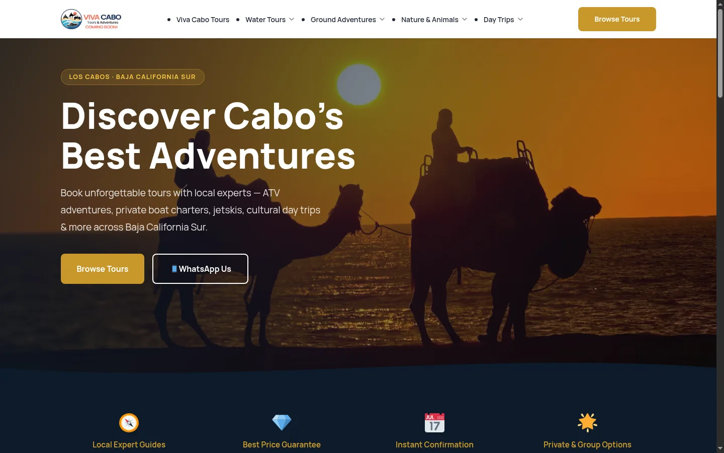 From Excel to 38 direct bookings per month — Cabo Rentals